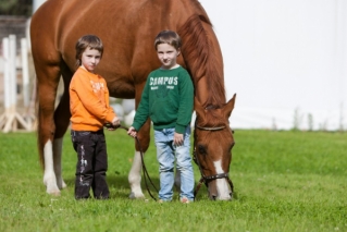 Где покататься на лошадях с детьми? Скидки на конные прогулки в загородном клубе TRAVA