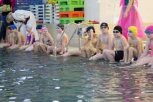 Секция плавания "Кроль&Брасс" для детей от 4 до 14 лет в Москве, Домодедовская