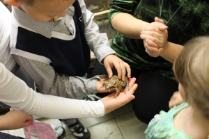 Детский праздник с животными для детей от 4 до 15 лет для небольшой компании в СПб - в доме природы "Живой Ключ"