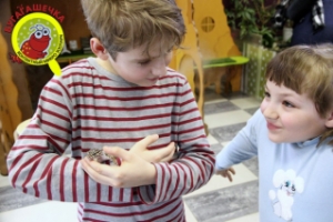 Развлечения для детей на севере Санкт-Петербурга: контактный зоопарк "Бугагашечка"