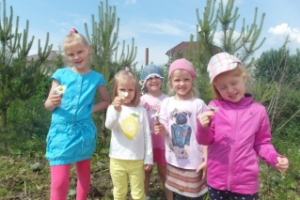 Летняя дача 2015 для ребенка в детском саду "Винни-Пух", Парголово, фото
