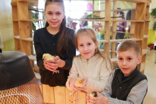 Куда сходить многодетной семье в Санкт-Петербурге? Акция "Детей много не бывает!" в зоопарке "Лесное посольство"