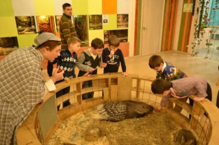 Бесплатные мероприятия в СПб для детей: День именинника в "Лесном посольстве"