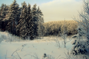 Зимний отдых в Ленинградской области - парк активного семейного отдыха "GREENVALD Парк Скандинавия"