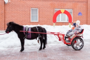 Сказочный день с пони в "Колибри", Челябинск