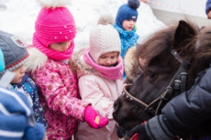 Сказочный день с пони в "Колибри", Челябинск